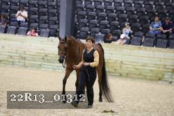 22R13_01312 thumbnail
