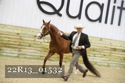 22R13_01532 thumbnail