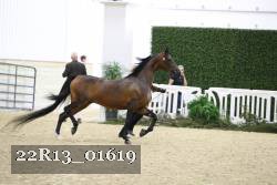 22R13_01619 thumbnail