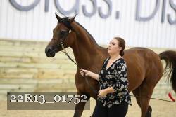 22R13_01752 thumbnail
