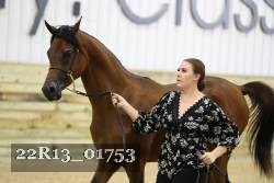 22R13_01753 thumbnail