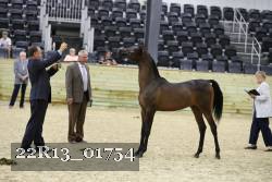 22R13_01754 thumbnail