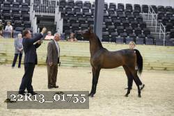 22R13_01755 thumbnail
