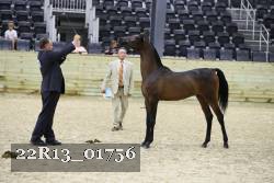 22R13_01756 thumbnail