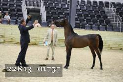 22R13_01757 thumbnail