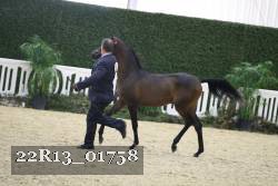 22R13_01758 thumbnail