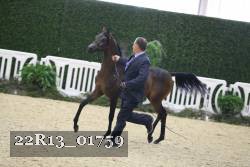 22R13_01759 thumbnail