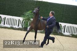 22R13_01760 thumbnail