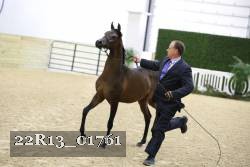 22R13_01761 thumbnail