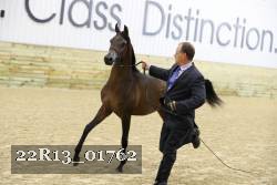 22R13_01762 thumbnail