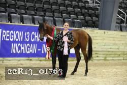 22R13_01763 thumbnail