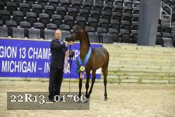 22R13_01766 thumbnail