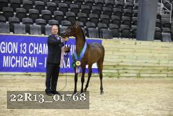 22R13_01768 thumbnail
