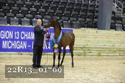 22R13_01769 thumbnail