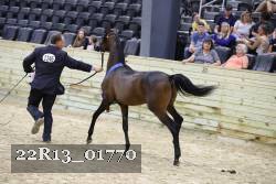 22R13_01770 thumbnail
