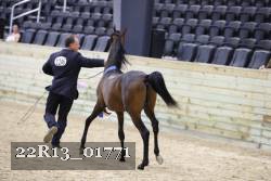 22R13_01771 thumbnail
