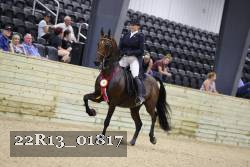 22R13_01817 thumbnail