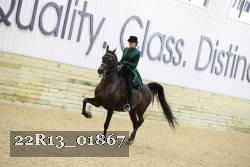 22R13_01867 thumbnail