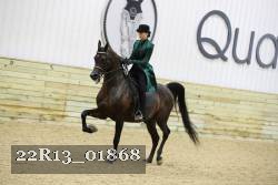22R13_01868 thumbnail