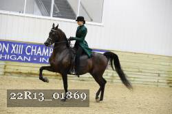 22R13_01869 thumbnail