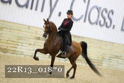 22R13_01870 thumbnail