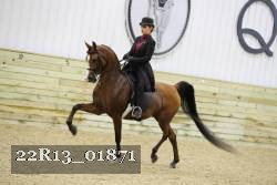 22R13_01871 thumbnail