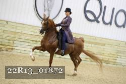 22R13_01872 thumbnail