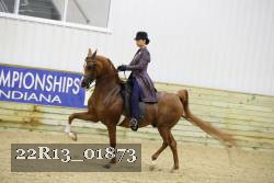 22R13_01873 thumbnail