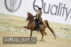 22R13_01874 thumbnail