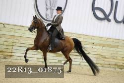 22R13_01875 thumbnail