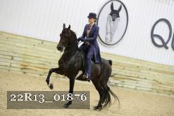 22R13_01876 thumbnail