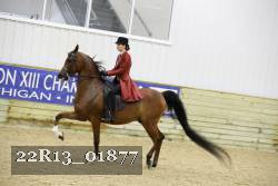 22R13_01877 thumbnail