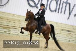 22R13_01878 thumbnail