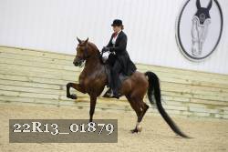 22R13_01879 thumbnail