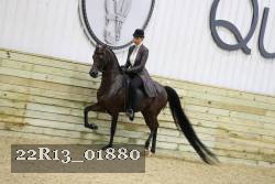 22R13_01880 thumbnail