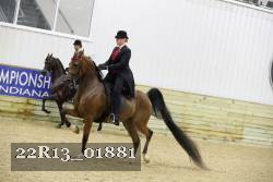 22R13_01881 thumbnail