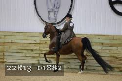 22R13_01882 thumbnail
