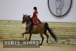 22R13_01883 thumbnail