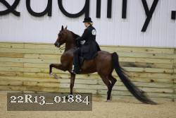 22R13_01884 thumbnail