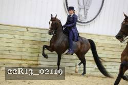 22R13_02119 thumbnail