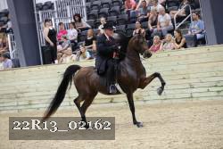 22R13_02162 thumbnail