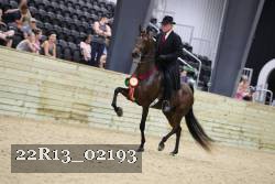 22R13_02193 thumbnail