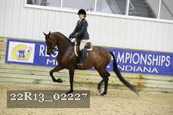 22R13_02227 thumbnail