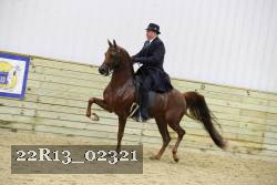 22R13_02321 thumbnail