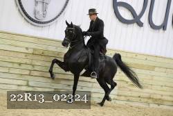 22R13_02324 thumbnail
