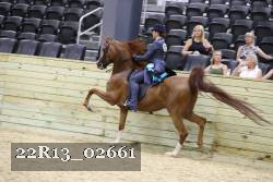 22R13_02661 thumbnail