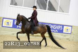 22R13_02788 thumbnail