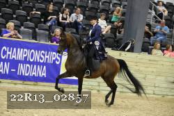 22R13_02857 thumbnail