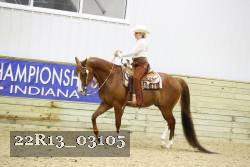 22R13_03105 thumbnail