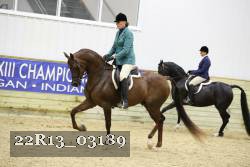 22R13_03189 thumbnail